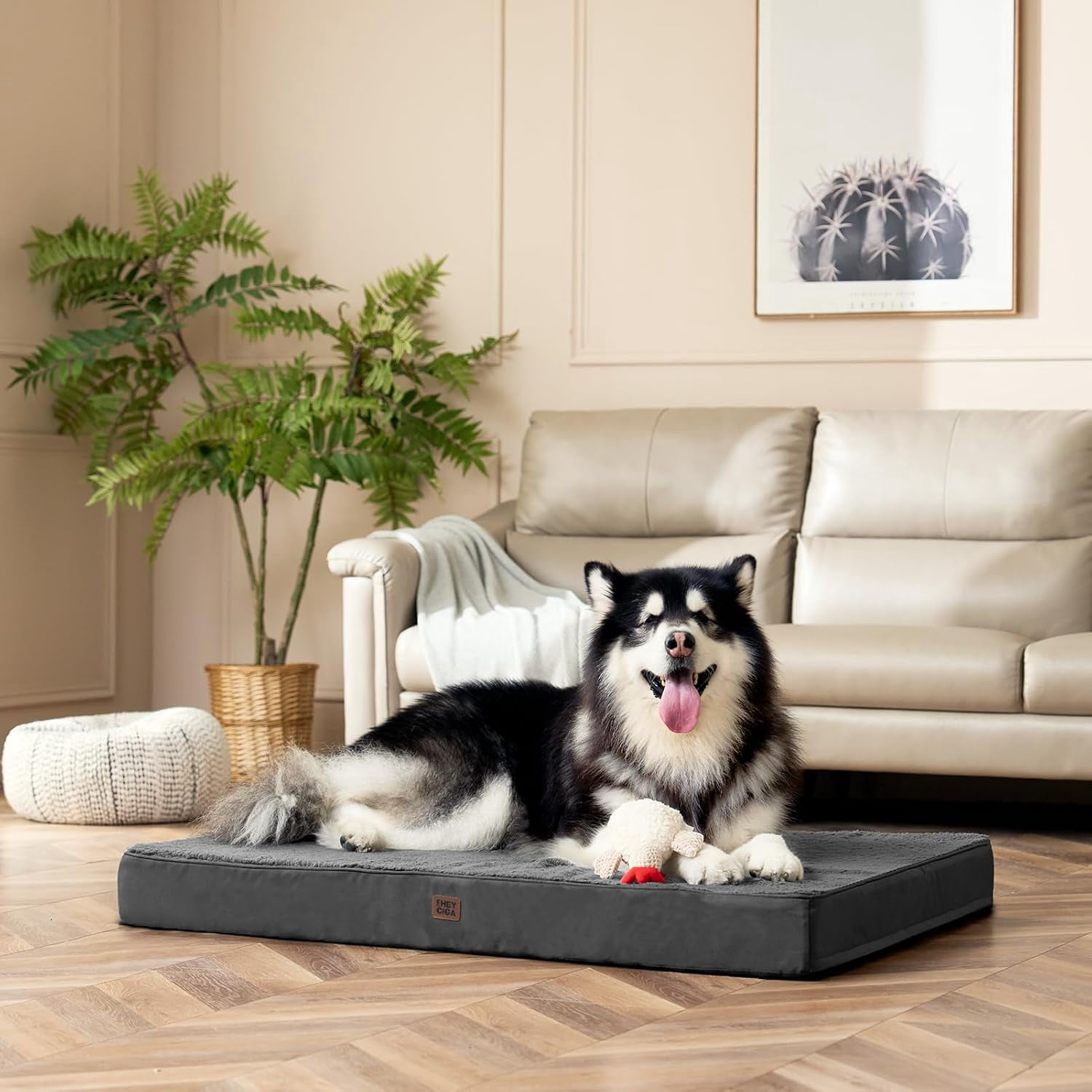 Orthopedic  Dog Bed with Removable Cover for Large Dogs, , 41x27
