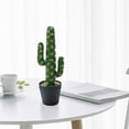 thumbnail image 5 of Artificial artificial flower tropical cactus bonsai creative decoration home decoration potted plants - type:style1;, 5 of 5