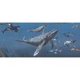 thumbnail image 1 of Requins Baleines Sous-Marine Nature Egean Bleu Papier Peint Frontière Retro Design, Rouleau 15' x 6", 1 of 3