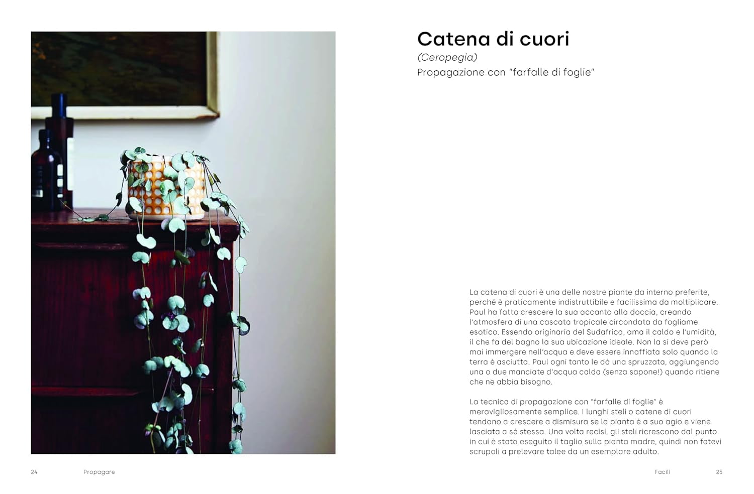 India Whiley-Morton,Anna Isnardi,Paul Anderto Propagare. Come moltiplicare le piant (Hardcover)