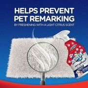 Resolve Pet Expert Carpet Cleaner Spray for Pets Stains and Odors, 22 oz