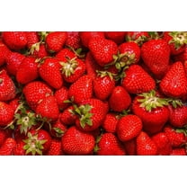 (Best) Jewel Strawberry Plants - Bare Root Plants to Grow Strawberries - Ready to Ship - No Ship to California (5 Strawberry Plants)