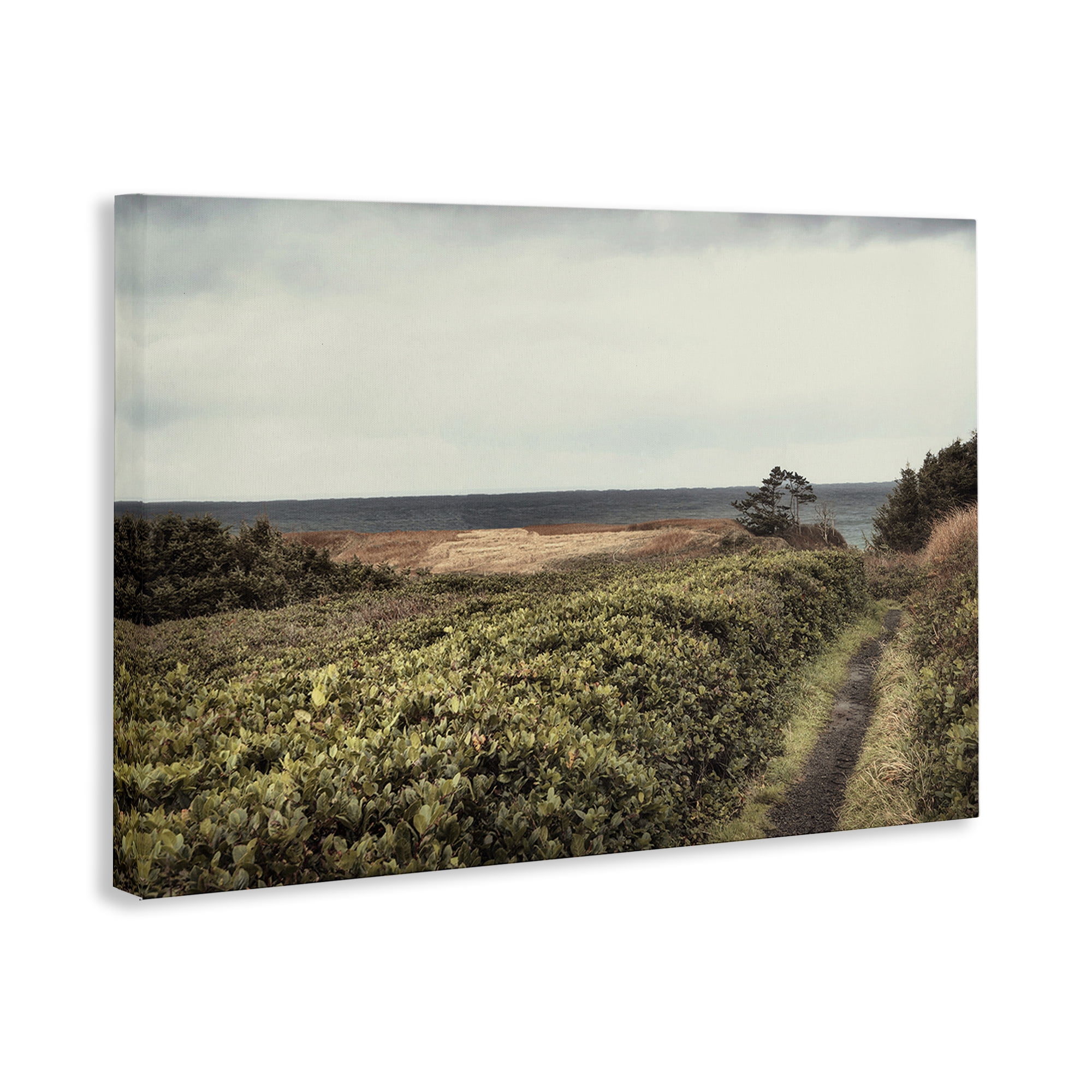 Stupell Industries Serene Coastal Pathway Landscape & Nature Photography Wrapped Canvas Art Print Wall Art, 24 x 16
