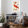 thumbnail image 4 of Art.com Curlew Catesby (or Scarlet Ibis) Art Print by Maria Sibylla Merian, White Frame Wall Art, 32" x 44", 4 of 5