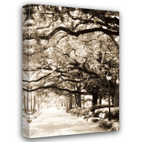 Alan Hausenflock 17x24 Gallery Wrapped Canvas Wall Art Titled - Savannah Sidewalk I