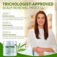 thumbnail image 2 of Roycederm Tea Tree Scalp Scrub – Pre-Shampoo Exfoliating Treatment for Dry, Flaky Scalp – Deep Cleansing, Refreshing & Balancing Formula for Healthy-Looking Hair, 2 of 8