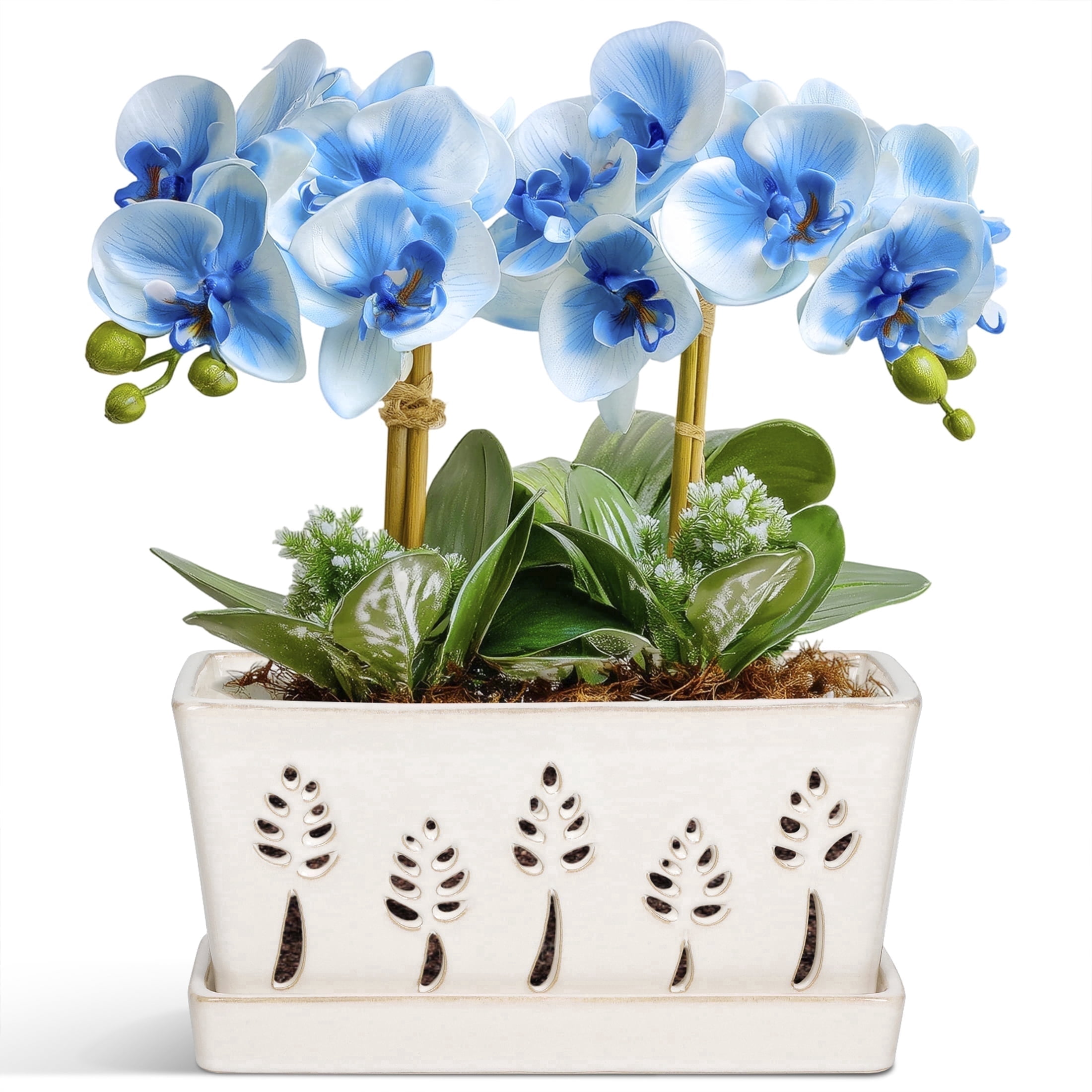 Ceramic orchid pot, 10 Inch rectangle orchid pots with holes & saucer , premium thickened Handmade Glazed Pot  for Easy Repotting