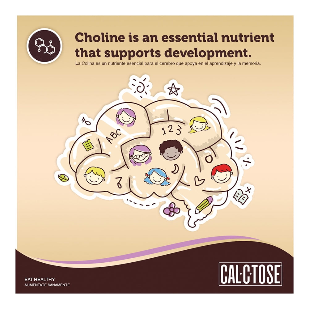 Cal-C-Tose Chocolate Milk Powder Mix for Kids, 14.1oz, 3 pack