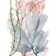 thumbnail image 2 of Art.com Seaweed Flow I Art Print by Grace Popp, 12" x 16", 2 of 4