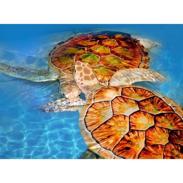 Pintura de diamante (DE5579) Kits de bricolaje Dos tortugas Imagen cuadrada Artesanía 50x70cm Hugtrwg Para estrenar