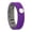 Purple, variant on Anti-static Negative Ion Energy Silicone Bracelet