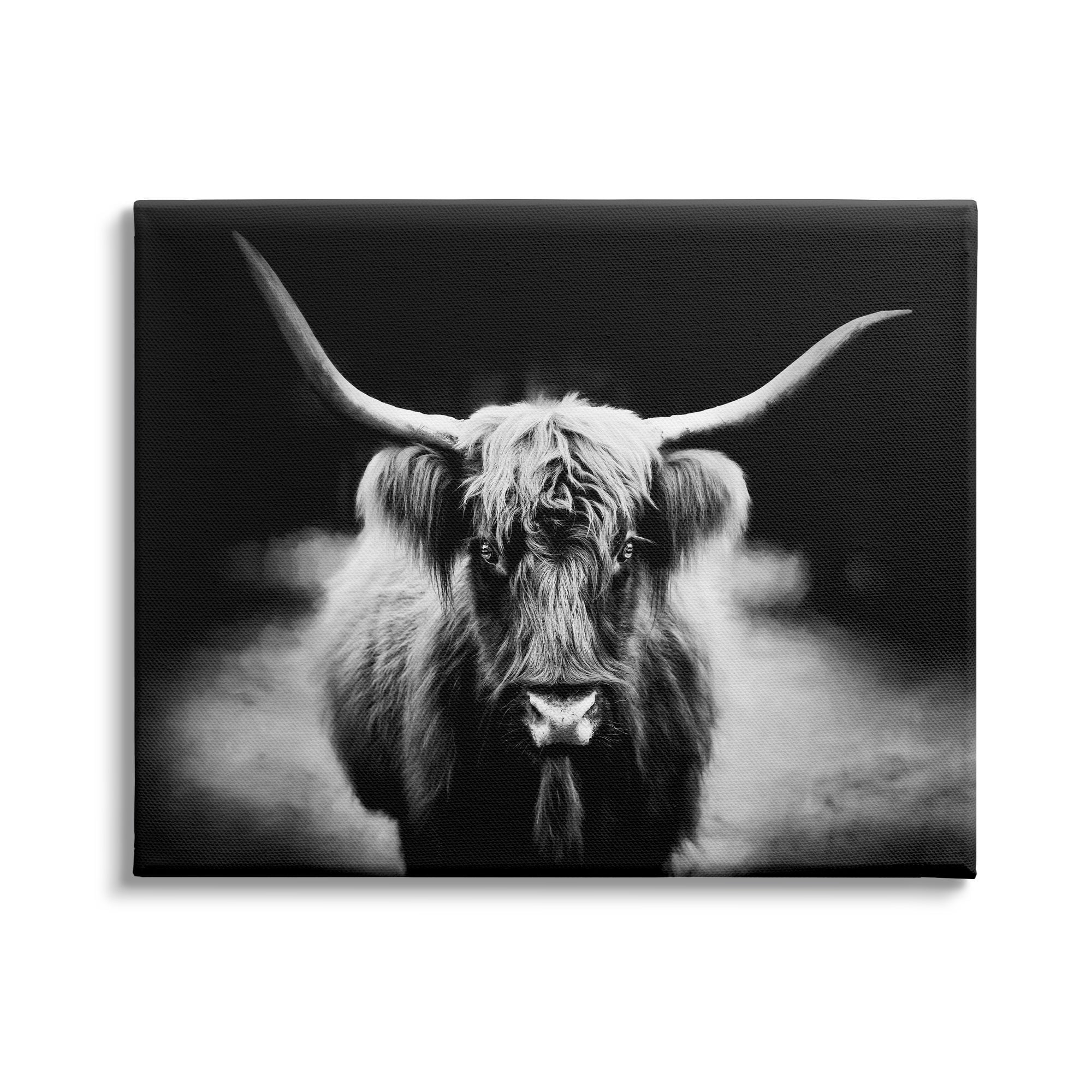 Stupell Industries Bold Longhorn Portrait Black White Cattle Photography, 30 x 24,Design by PHBurchett