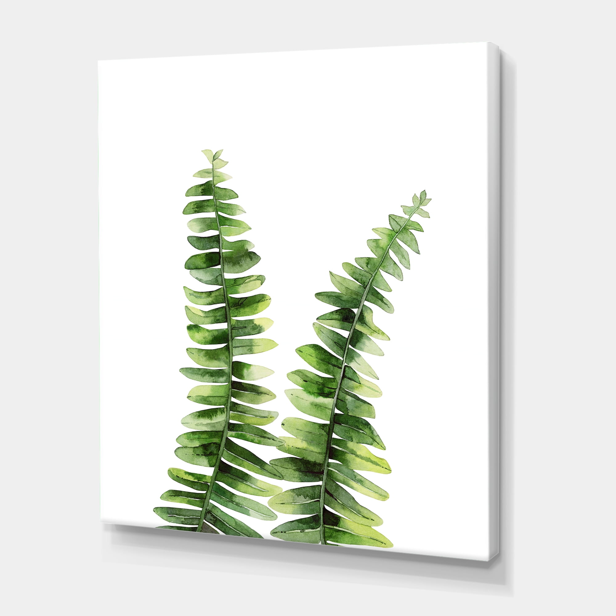 Designart ' Fern Plant Leaves Detail V ' Tropical Canvas Wall Art Print