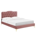 thumbnail image 2 of Modway Amber Performance Velvet Queen Platform Bed in Dusty Rose, 2 of 10