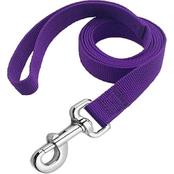 Eryueer Strong Nylon Dog Leash, 4FT/ 5 FT/ 6FT Dog Leashes for Small Medium Dogs