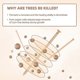 thumbnail image 4 of 15Pcs Copper Nails for Killing Trees Stump Root, 3.14 Inch Long Pure Copper Nails with Drill, Stump Removal Spikes, 4 of 5