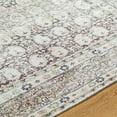 thumbnail image 3 of Livabliss x Vivir Lorelai Vintage Washable Area Rug, 5'3" x 7', Ivory/Brown, (5' x 7'), 3 of 6