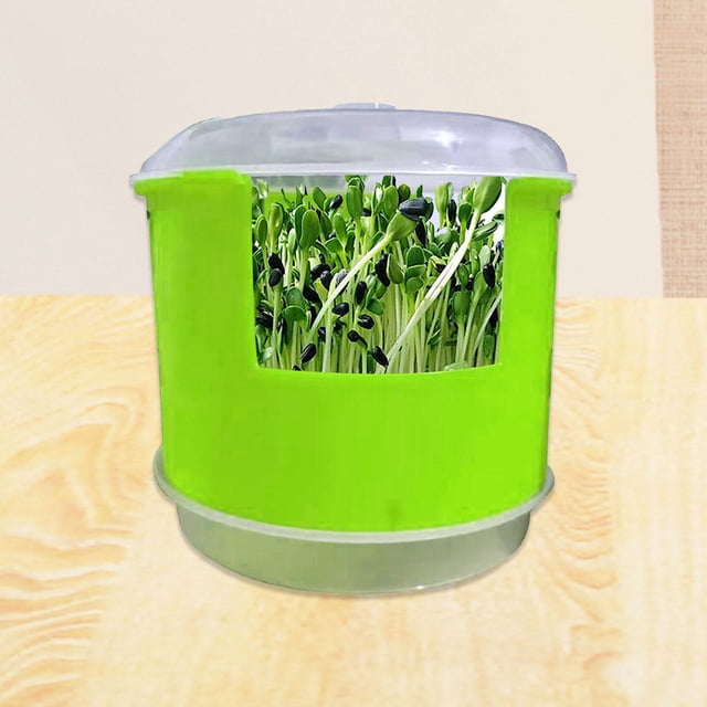 Bandeja de germinación, recipiente portátil para germinación de granos de y pasto de Verde