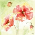 thumbnail image 2 of Tre Sorelle Studios 12x12 Gold Ornate Wood Framed with Double Matting Museum Art Print Titled - Pale Pink Poppies I, 2 of 4