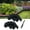 Black, variant on FRTDNE 4.5 in x 10.7 in Black Plastic Garden Border Edging, 20 Count
