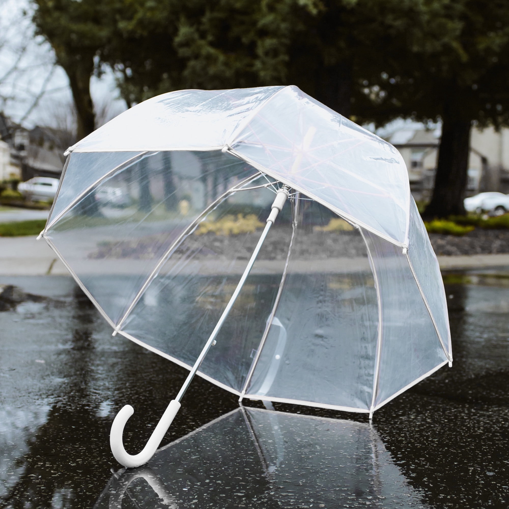 Weather Station Clear Rain Umbrella, Adult, Dome Canopy, Bubble, Automatic Open, Bubble, Waterproof, Lightweight, Full 52 Inch Arc, Stick, White