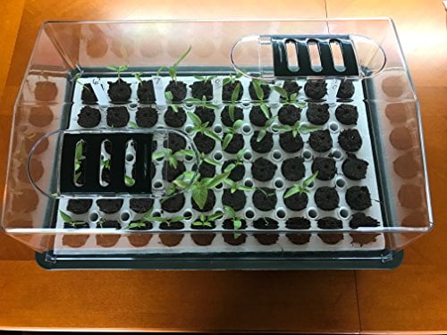 diy seed dome diy seed dome