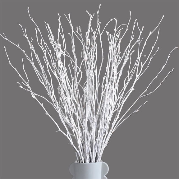 NOGIS 30Pcs Dried White Birch Twigs Branches - 100% Natural 20” Painted Birch for Christmas, Wedding, Vases Filler, Sticks for Centerpiece, Floral Arrangement, Twig Wreath, Rustic Decor