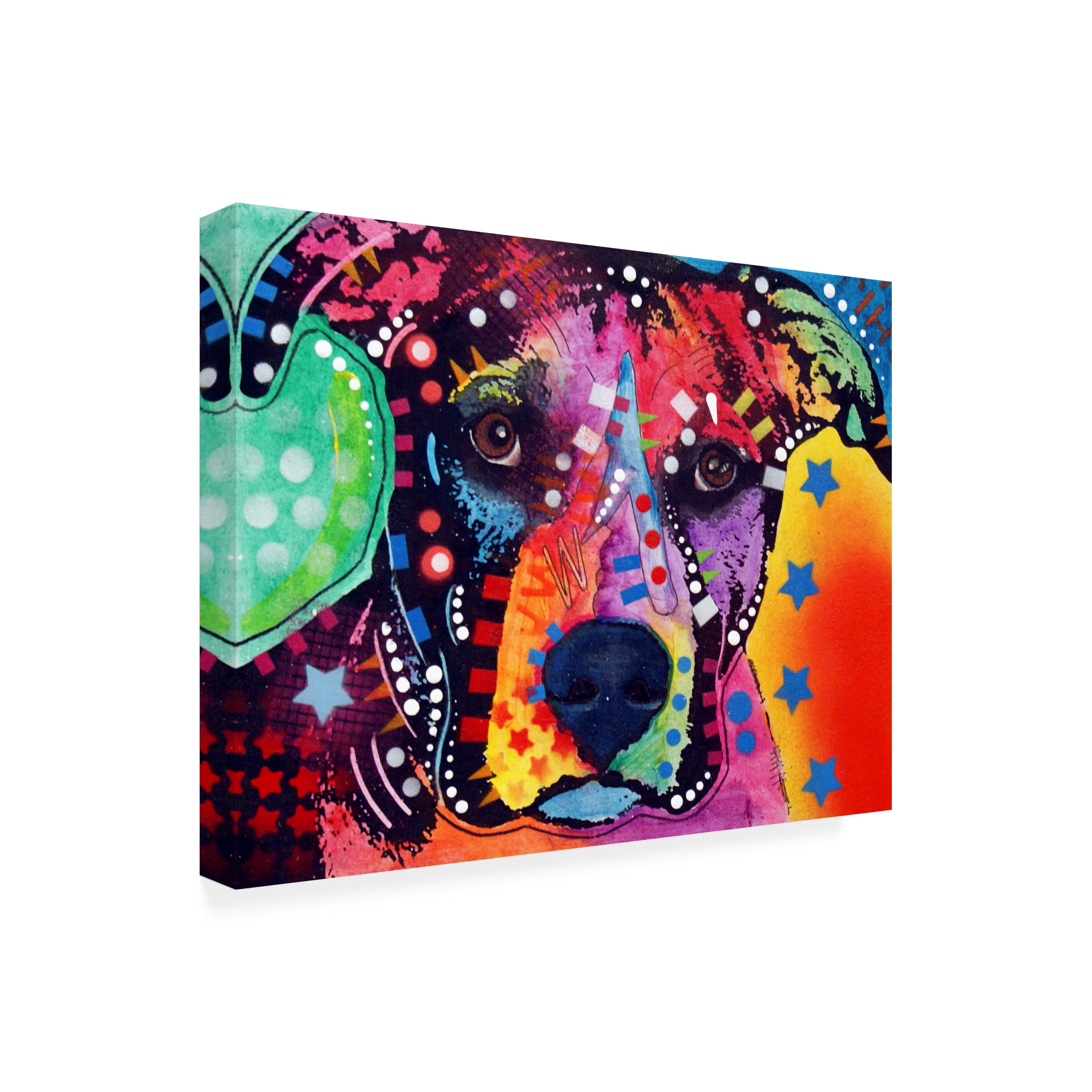 Dean Russo 'B1' Outdoor Canvas