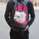 thumbnail image 3 of Cómoda mochila de transporte, mochila frontal para cachorros con diseño de cabeza transpirable y hombro acolchado para senderismo, viajes al aire libre MFZFUKR 2034805-4, 3 of 8