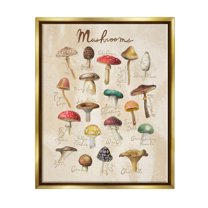 Stupell Industries Vintage Mushroom Types Diagram Landscape Painting Gold Floater Framed Art Print Wall Art