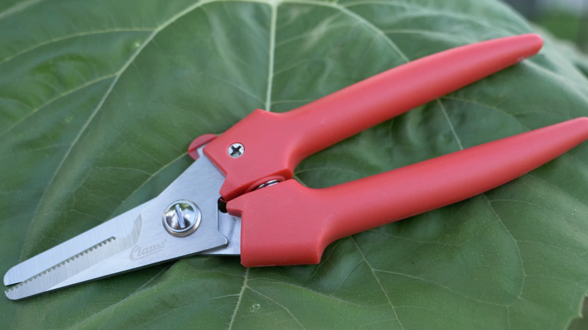 Clauss Cutter Shear, 7.5", Partially Serrated, with Latch Closure, Red Plastic Handles