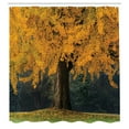 thumbnail image 3 of Ambesonne Fall Shower Curtain, Leaves Tree Autumn Season, 69"Wx70"L, Earth Yellow Brown, 3 of 5