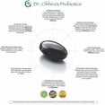 thumbnail image 4 of Dr. Ohhira's Essential Formulas Inc., Probiotics, Original Formula, 60 Capsules - 2 Packs, 4 of 6