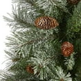 thumbnail image 3 of Nearly Natural 3ft. Snowed French Alps Mountain Pine Artificial Christmas Tree with 135 Bendable Branches and Pine Cones, 3 of 6
