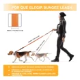 thumbnail image 3 of Correa Cinturón De Seguridad Para Perro Grande Reflectante, 3 of 8
