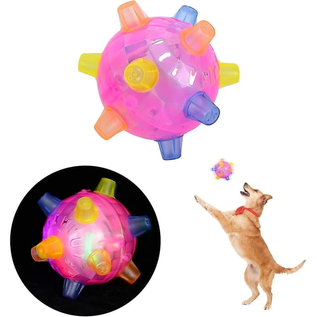 Bola de salto llevada, animales, gatos, bolas de salto llevadas, bola de salto intermitente