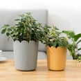 thumbnail image 3 of SPRING PARK Plastic Round Flower Plant Pot Planter Holder With Tray Home Office Garden Decor, 3 of 7