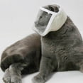 thumbnail image 4 of fastboy Transparent Cat Face Mask Cat Muzzle Anti Bite Anti Called Medium, 4 of 8