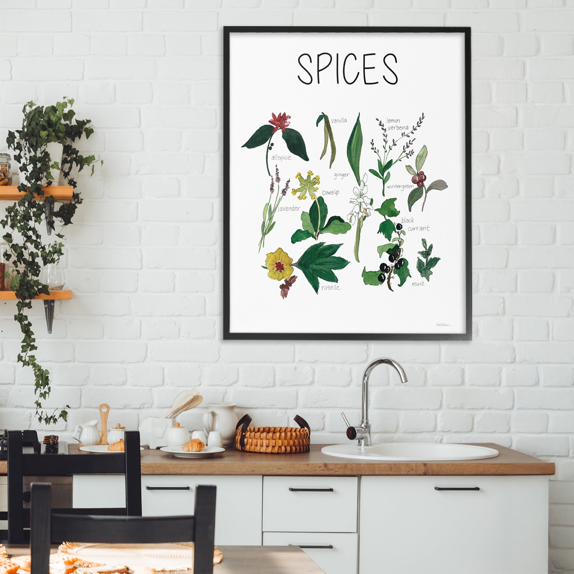 Stupell Industries Spices Identification Chart Black Framed Giclee Art, design by Carol Robinson