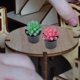 thumbnail image 5 of 10 Uds Mini casa Cactus suculento plantas pequeñas modelo pequeñas suculentas en maceta, 5 of 6