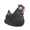 thumbnail image 4 of Almencla Chicken Flower Pot Multipurpose Patios Plant Pot for Backyard Kitchen Indoor Black, 4 of 8