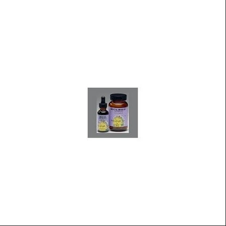 mental Memory 450 mg Herbs of Light 90 VCaps