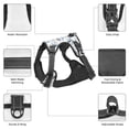 thumbnail image 3 of Vsdgher Music Shark Pattern Dog Harness,No Pull Pet Harness with Soft Padded Handle,Adjustable Reflective Vest with 2 Buckles,4 Slide Buckles,S-XL Medium, 3 of 4