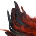 thumbnail image 4 of Abbracc 2x50Pcs Feathers for DIY Crafts Decorations for Wedding Jewelry Making Coffee 2 Pcs, 4 of 9