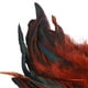 thumbnail image 4 of 50 Uds. de plumas para manualidades DIY, accesorios de artesanía, decoraciones de plumas de pollo ligeras y suaves portátiles para fabricación de Café BLESIY Plumas para manualidades, 4 of 8