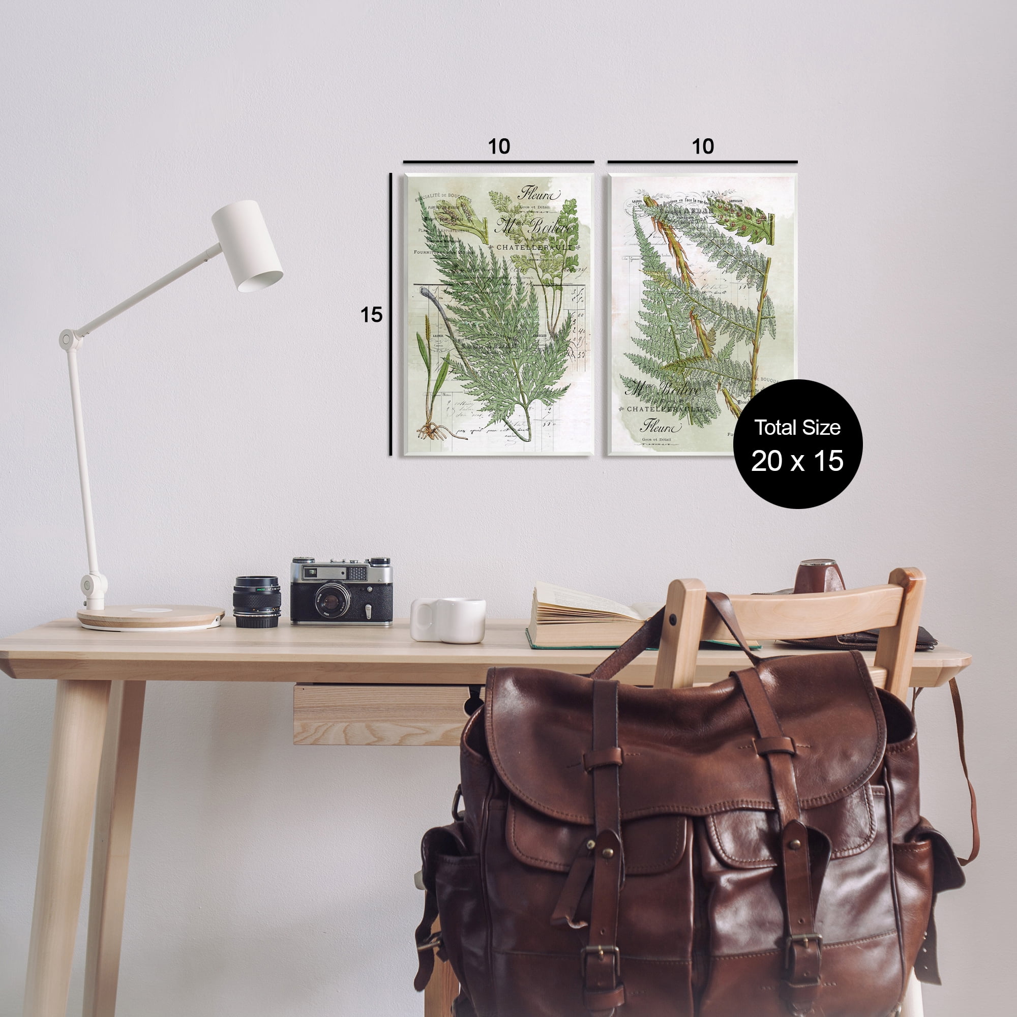 Stupell Woodland Fern Botanical Latin Study Botanical & Floral Painting Wall Plaque Unframed Art Print Wall Art, Set of 2