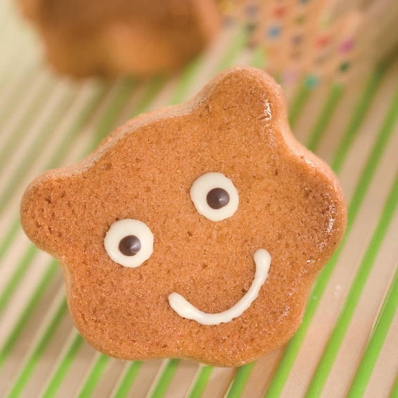 Sasa Demarle - Teddy Bear Head Full