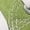 Green, variant on Boys and Girl Low Top Canvas Kids Lace up Sneakers