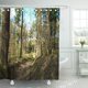 thumbnail image 1 of ABPHQTO Cortina de ducha con freno Backwoods Spring View of Forest y Clear Sky 152x180 cm ABPHQTO PKNMT60x72Shower-7149, 1 of 2