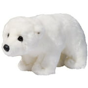 Aput Polar Bear